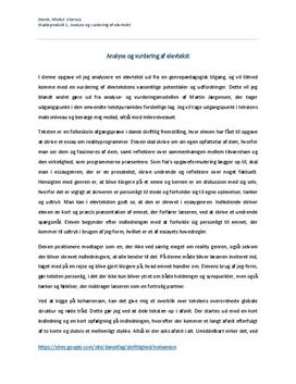 Vurdering af essay 05 image