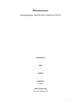 Modstandsbevægelsen | Eksamensopgave