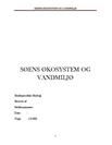 hvad er et økosystem hvad er et økosystem